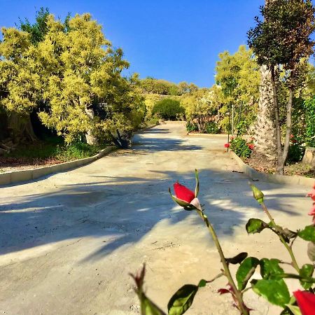 פריחיליאנה Los Ninos Villa/Country House מראה חיצוני תמונה